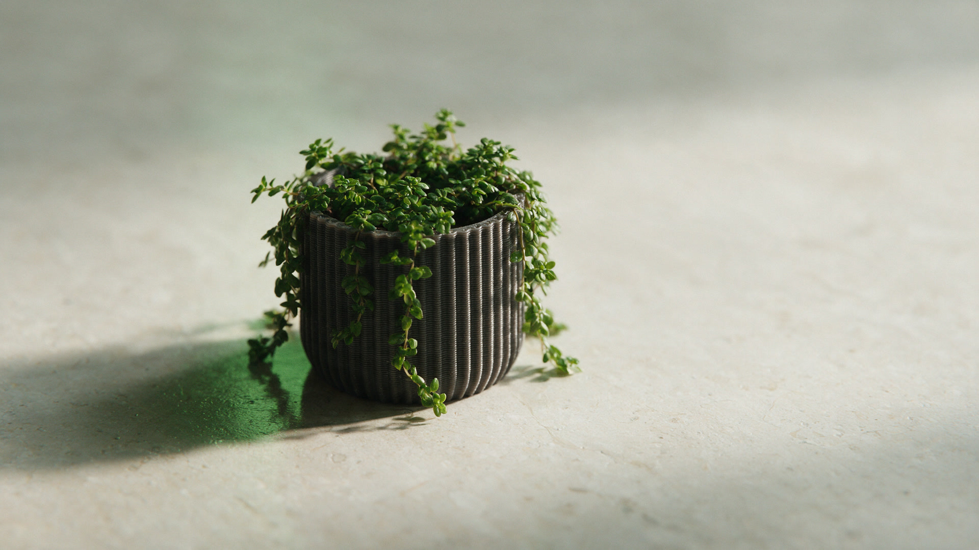 A small ribbed charcoal printed plant pot with a trailing green plant, on pale stone.